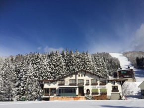 Гостиница Lodge Hahnenkamm  Уезд Симотакаи